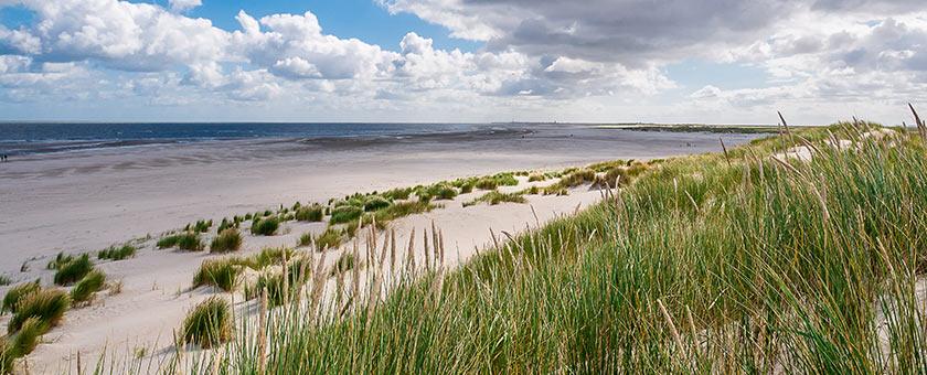 Der Sandstrand und das Meer auf Spikeroog.