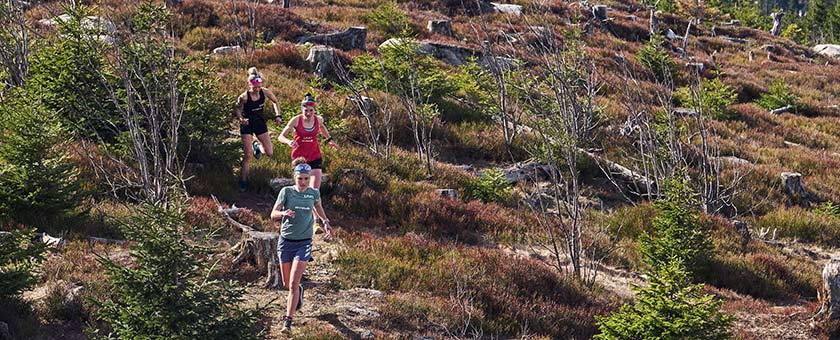 Eine kleine Gruppe von Sportlern läuft durch unebenes Gelände.