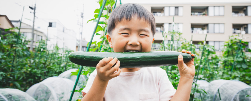 Junge beisst in Gurke